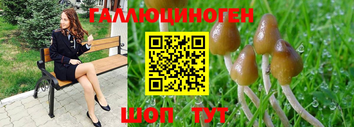 Псилоцибиновые грибы Psilocybe Великий Устюг