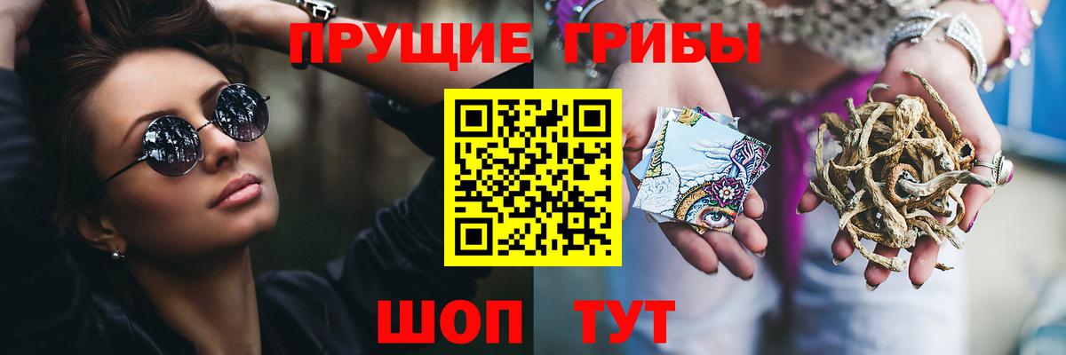 Великий Устюг  Псилоцибиновые грибы прущие грибы  сколько стоит  Вход с VPN  Галлюциногенные грибы Magic Shrooms 