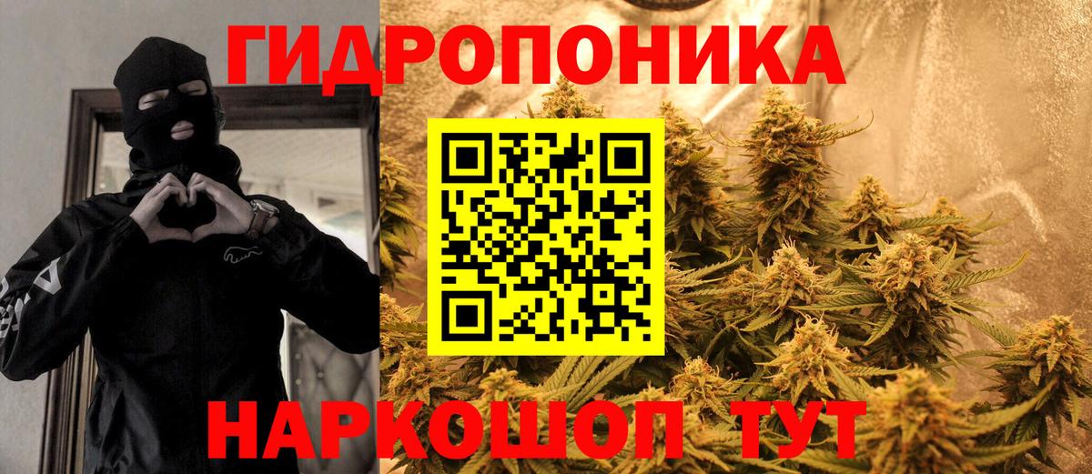 Шишки марихуана гибрид  Бошки Шишки LSD WEED  Бошки марихуана Bruce Banner  Великий Устюг  Вход с VPN  Марихуана MAZAR 